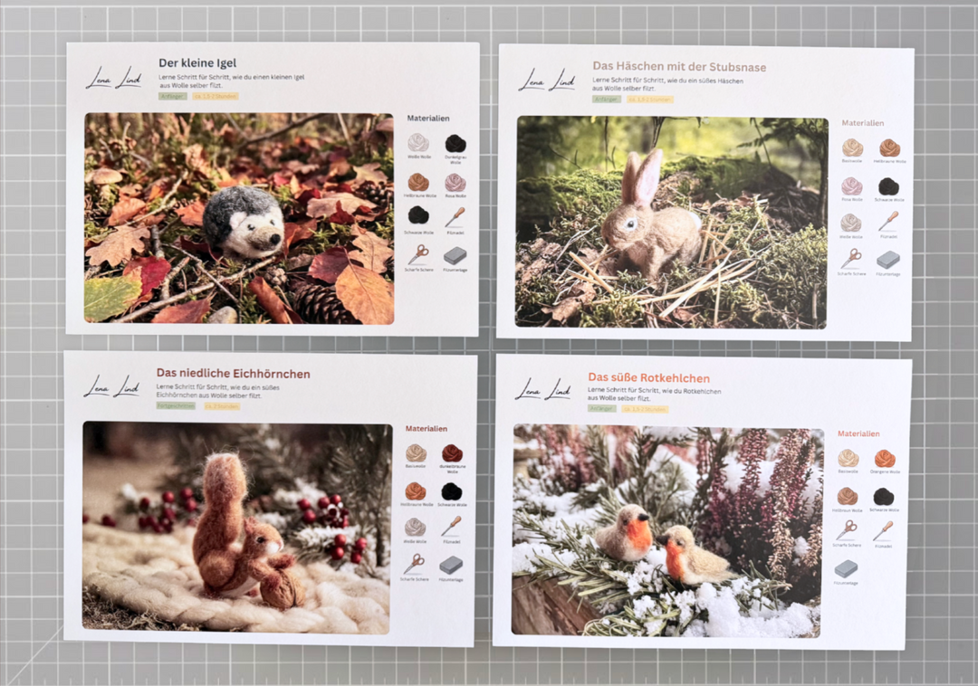 Nadelfilz-Set mit 36 Farben + 4 Anleitungen